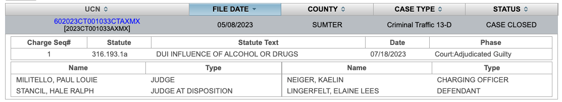 Sumter County court screenshot showing DUI charge and adjudicated guilty disposition
